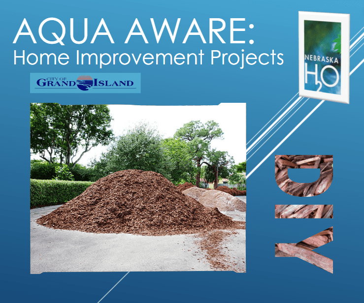 DIY Projects and Pollution