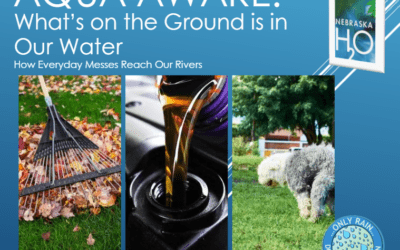 What’s on the Ground Is in Our Water: How Everyday Messes Reach Our Rivers