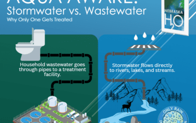 Stormwater vs. Wastewater: Why Only One Gets Treated