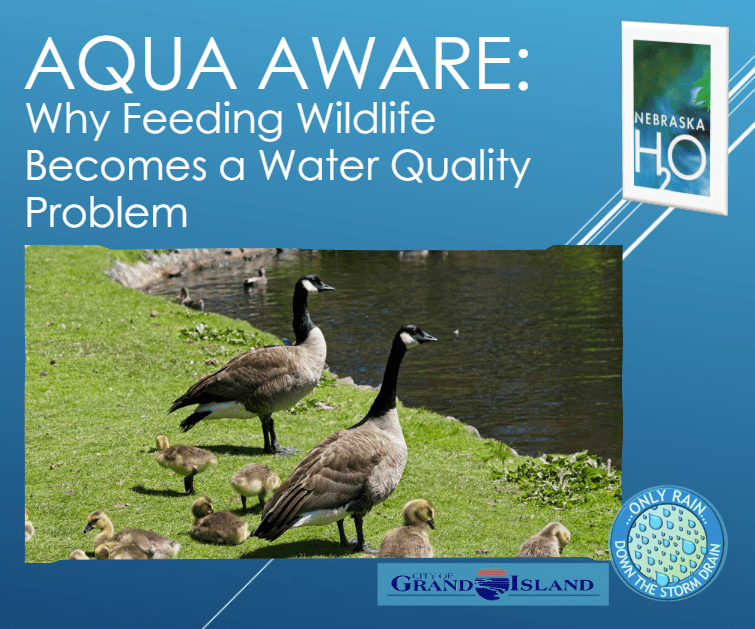 Screenshot 2026 01 14 114936