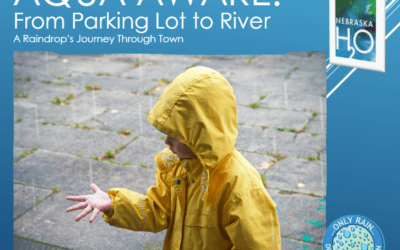 From Parking Lot to River: A Raindrop’s Journey Through Town