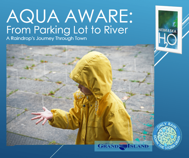 From Parking Lot to River: A Raindrop’s Journey Through Town