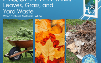 Leaves, Grass, and Yard Waste: When ‘Natural’ Materials Pollute