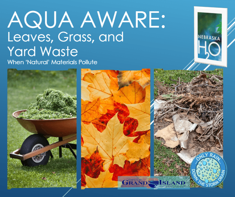 Leaves, Grass, and Yard Waste: When ‘Natural’ Materials Pollute