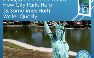 Your Neighborhood Park Is Working Harder Than You Think