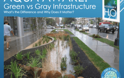 Green vs. Gray Infrastructure: What’s the Difference and Why Does It Matter?