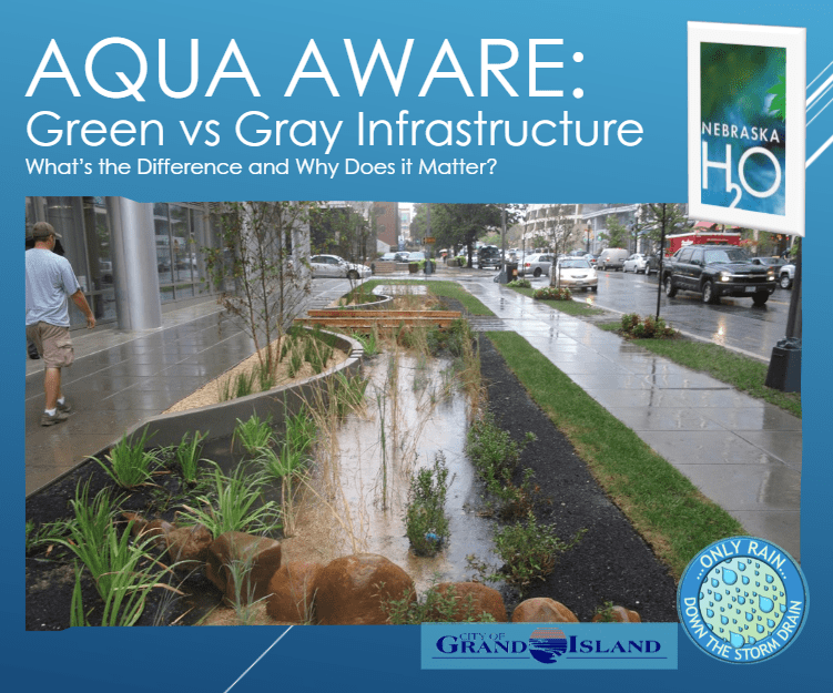 Green vs. Gray Infrastructure: What’s the Difference and Why Does It Matter?