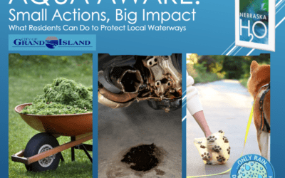 Small Actions, Big Impact: What Residents Can Do to Protect Local Waterways