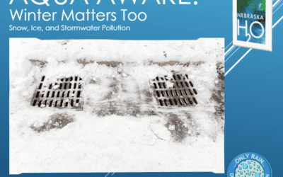 Winter Matters Too: Snow, Ice, and Stormwater Pollution