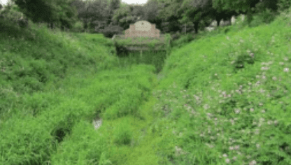Omaha bioswale