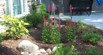 Omaha rain garden