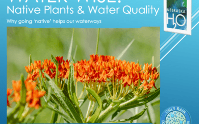 Native Plants and Water Quality: Why Going Native Helps Our Waterways