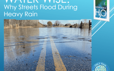 Why Does My Street Flood During Heavy Rain?
