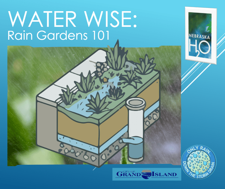 Rain Gardens 101