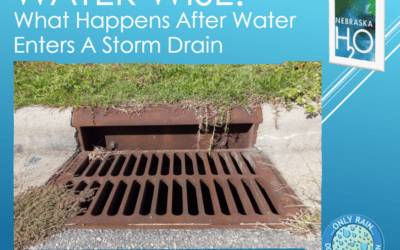 What Happens After Water Enters a Storm Drain?