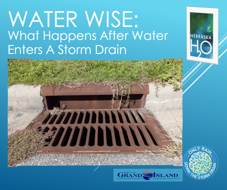 What Happens After Water Enters a Storm Drain?