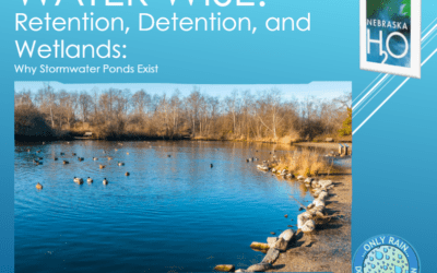 Retention, Detention, and Wetlands: Why Stormwater Basins Exist