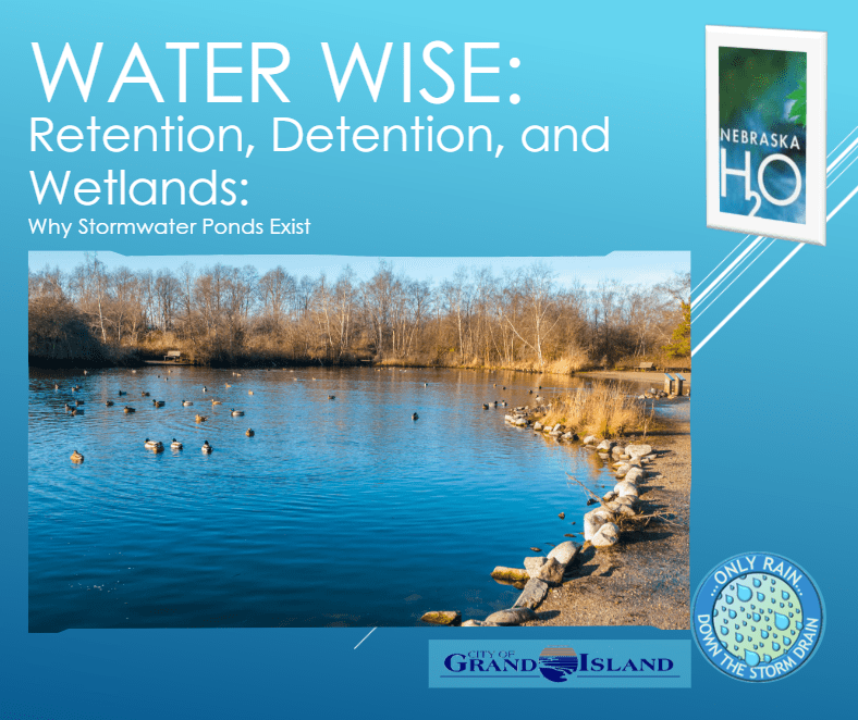 Retention, Detention, and Wetlands: Why Stormwater Ponds Exist