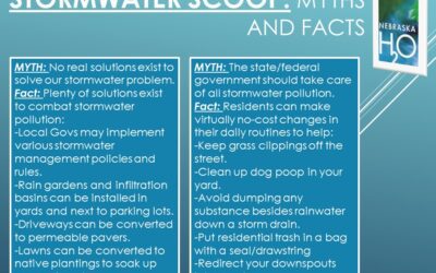 Stormwater Myths and Facts