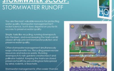 Stormwater Runoff in Residential Locations