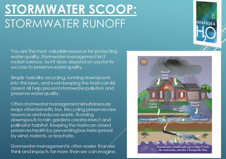 Stormwater Runoff in Residential Locations