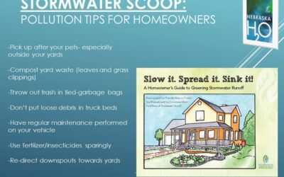 Stormwater Pollution Tips For Homeowners
