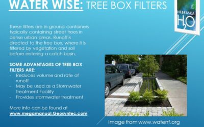 Tree Box Filters for Urban Stormwater Runoff