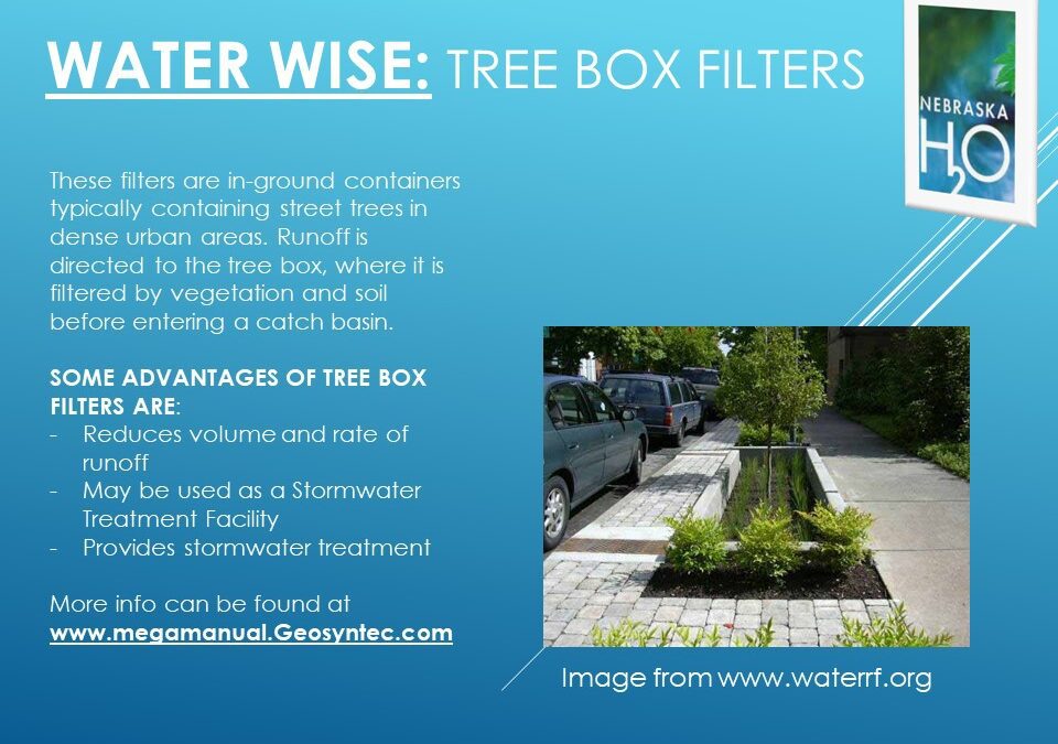 Urban Setting Tree Box Filters