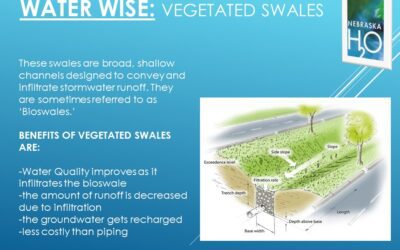 Vegetated Swales AKA BioSwales