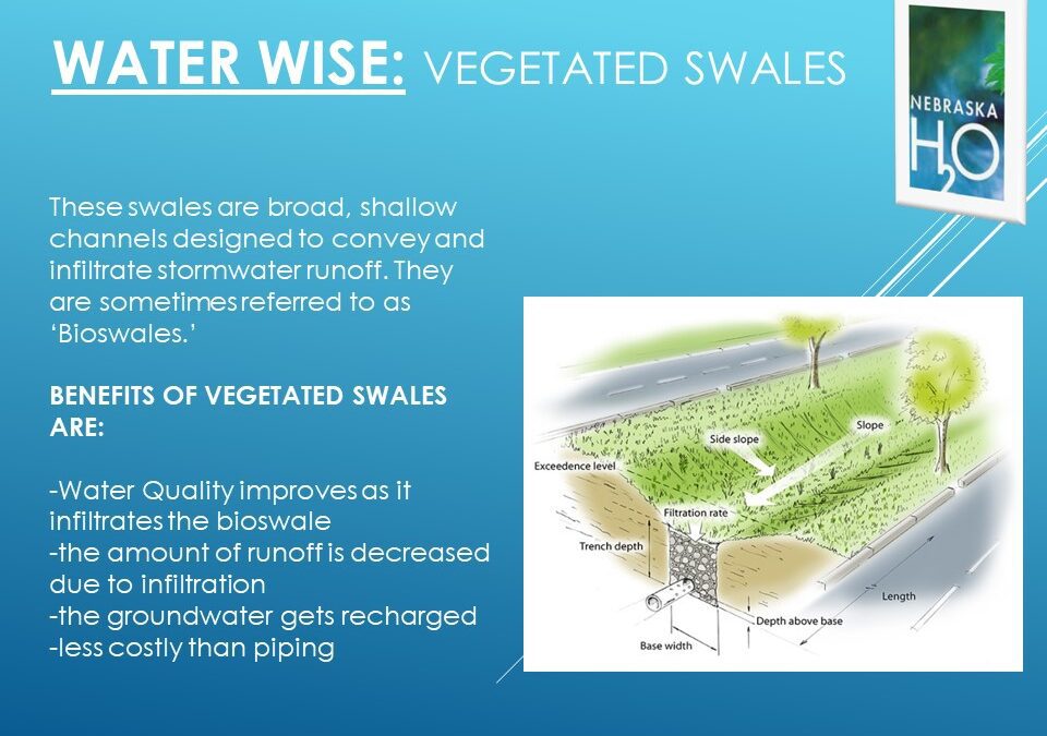 Vegetated Swale: a type of 'Stormwater Treatment Facility.' | Nebraska H20