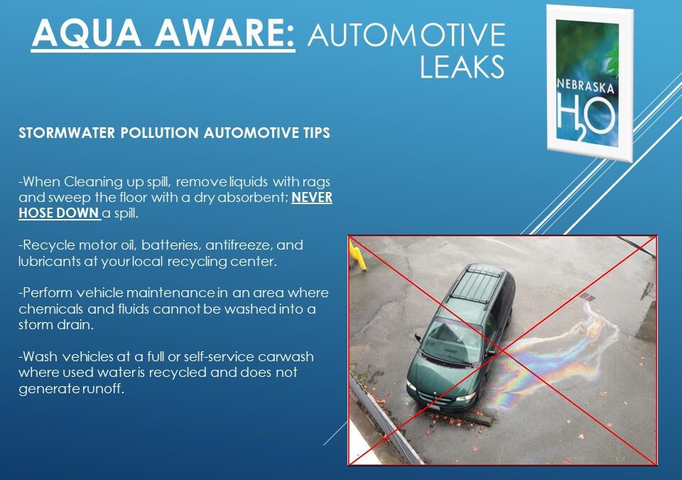 Vehicle Leaks