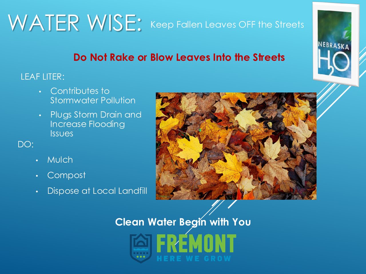 Keep Fallen Leaves Off the Streets