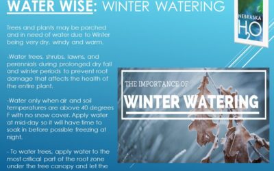Winter Watering