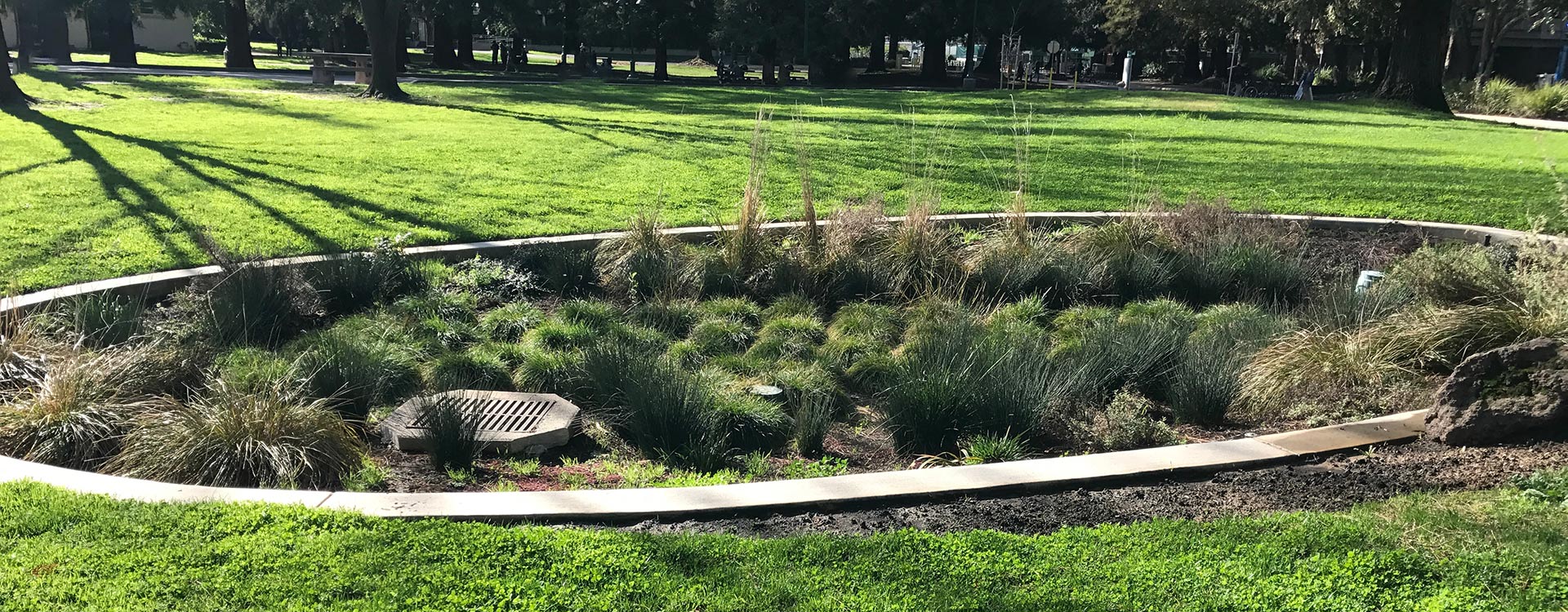 banner raingarden park