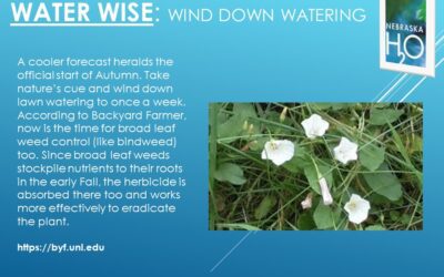 Wind Down Residential Watering