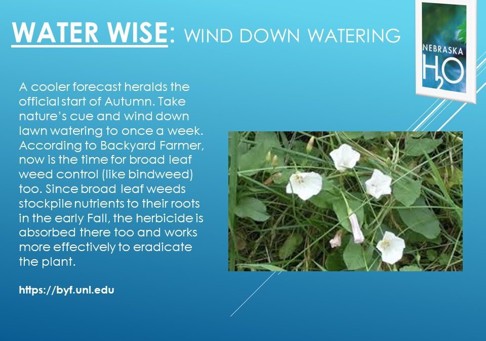 Wind Down Residential Watering